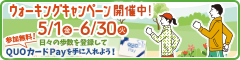 ウォーキングキャンペーン開催中